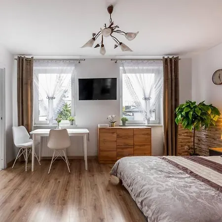 Ap. Olimpia 1 Pok. 2 Osoby, Downtown, Free Parking Apartment Krakow