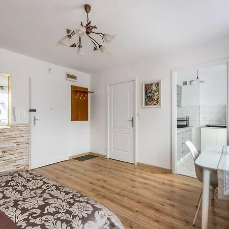 Ap. Olimpia 1 Pok. 2 Osoby, Downtown, Free Parking * Cracovia