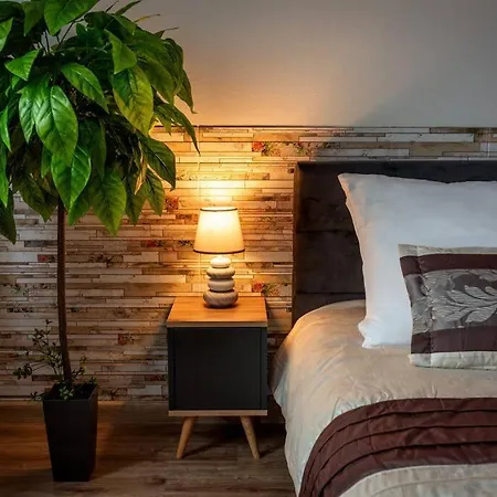 Ap. Olimpia 1 Pok. 2 Osoby, Downtown, Free Parking Apartament