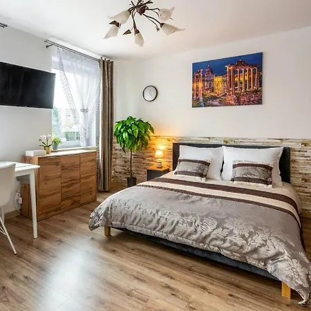 Ap. Olimpia 1 Pok. 2 Osoby, Downtown, Free Parking Apartment Krakow